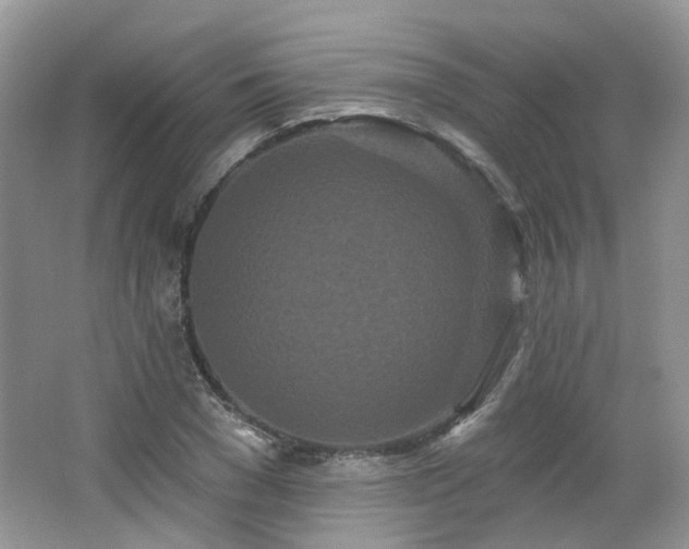 X0000064720977200602101119