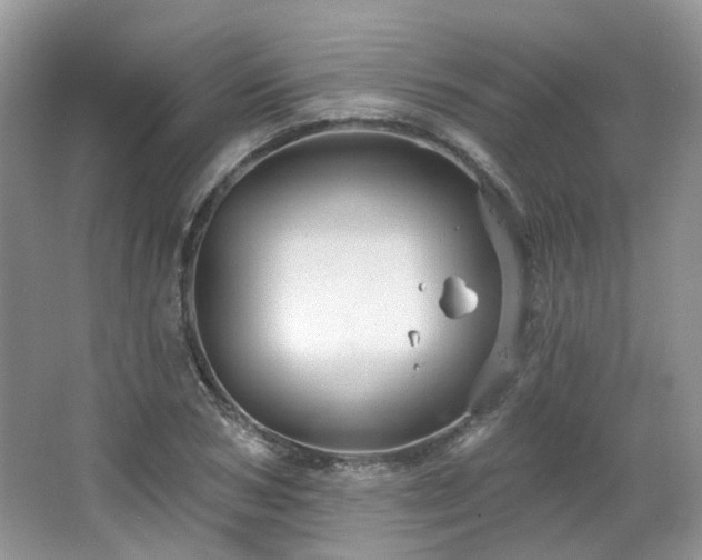 X0000064720978200602101119