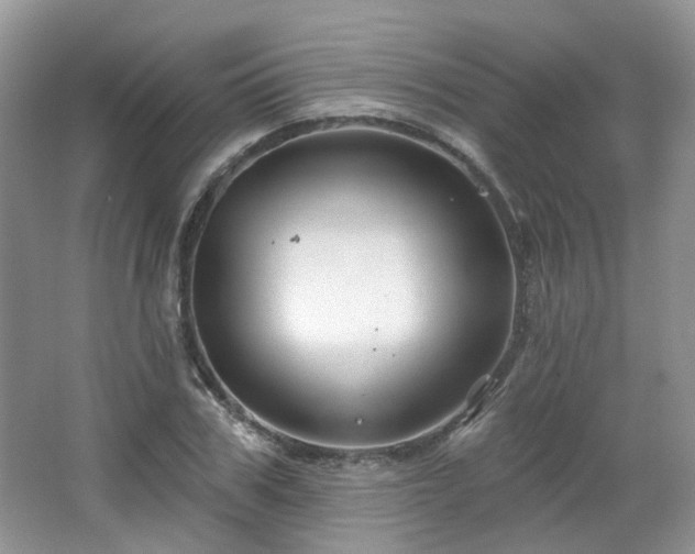 X0000064720979200602101119