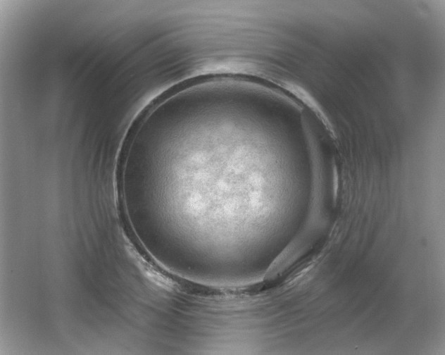 X0000064720980200602101119