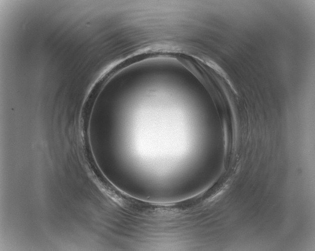 X0000064720981200602101119