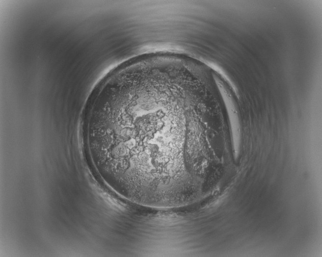 X0000064720983200602101119