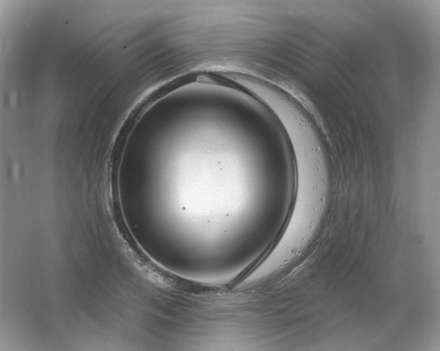 X0000064720984200602101119