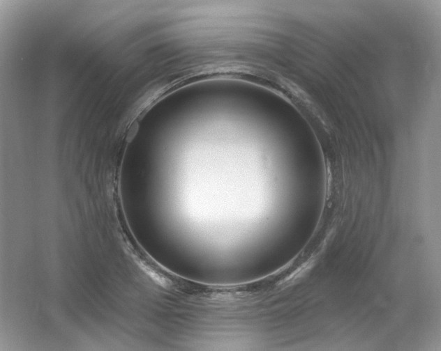 X0000064720985200602101119