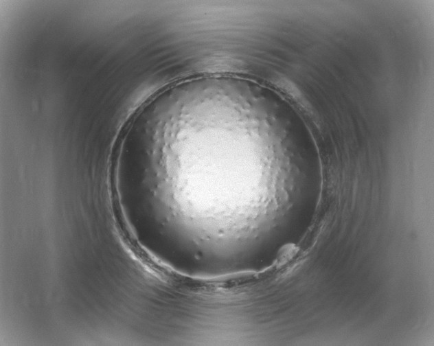 X0000064720986200602101119