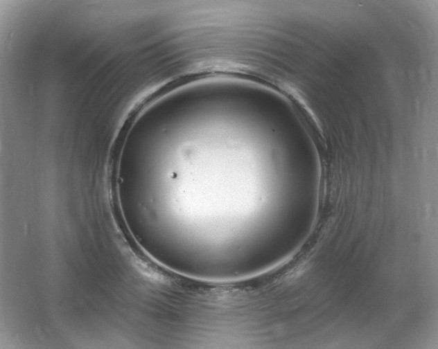 X0000064720987200602101119