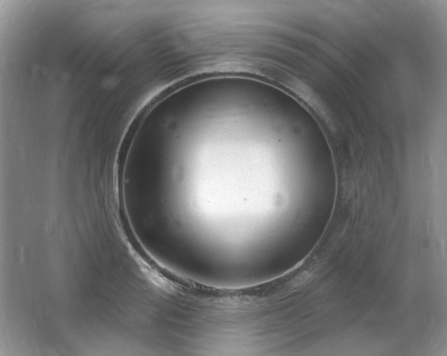 X0000064720988200602101119