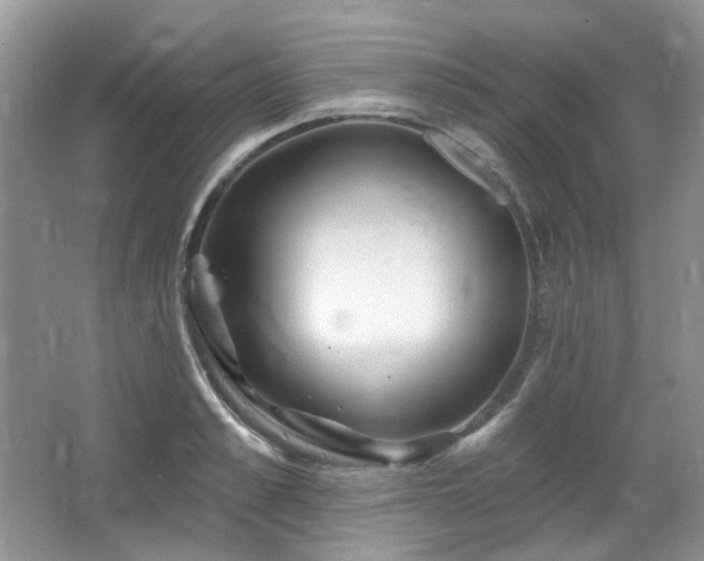 X0000064720989200602101119