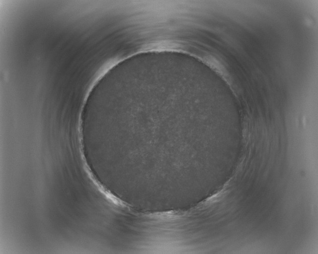 X0000064720990200602101119