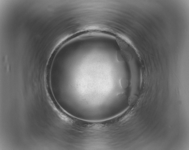 X0000064720991200602101119