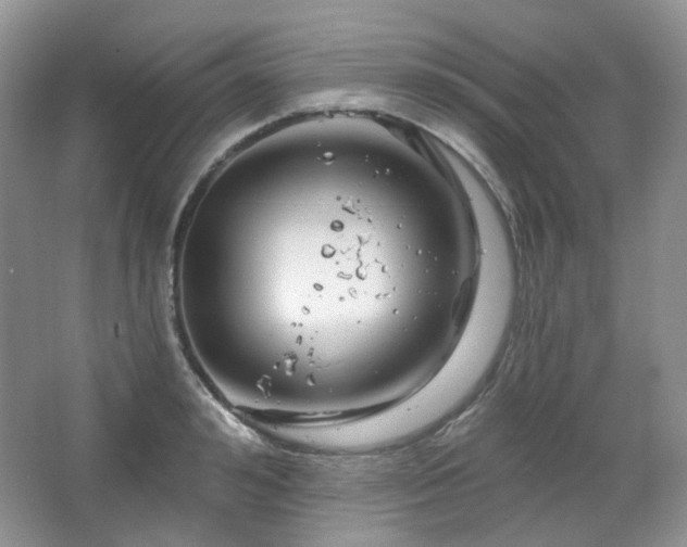 X0000064720992200602101119