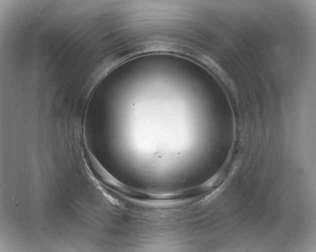 X0000064720993200602101119