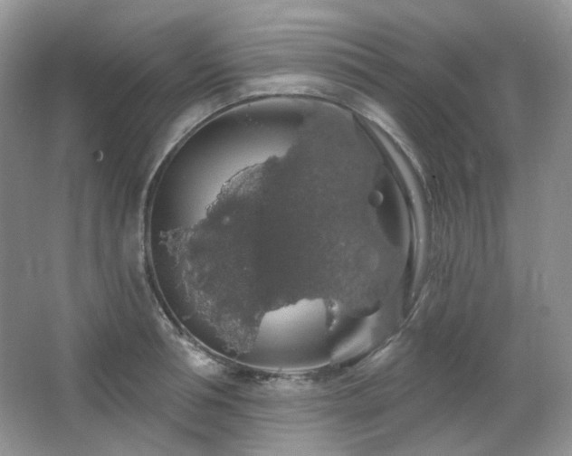 X0000064720994200602101119