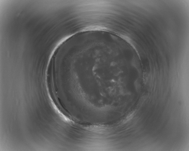 X0000064720995200602101119