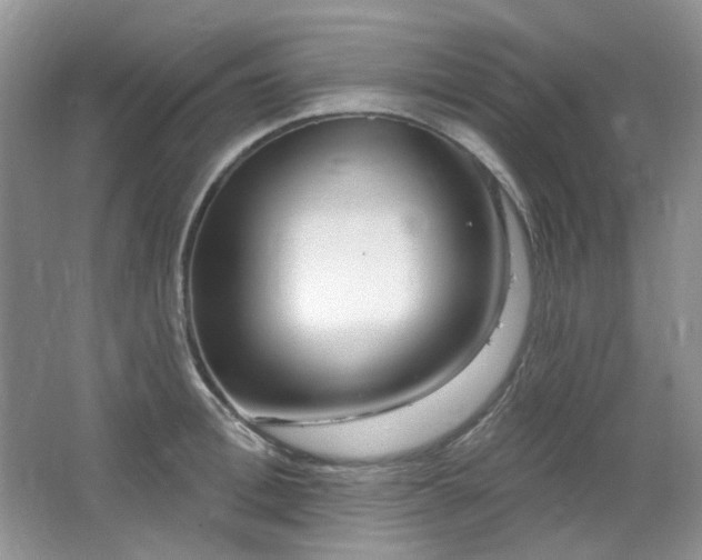 X0000064720996200602101119