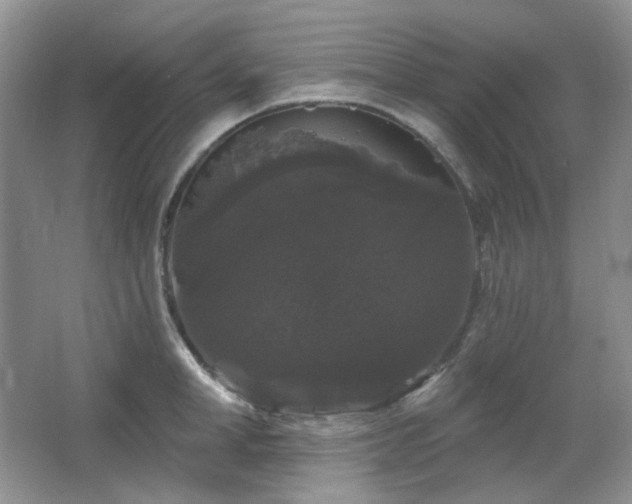 X0000064720998200602101119