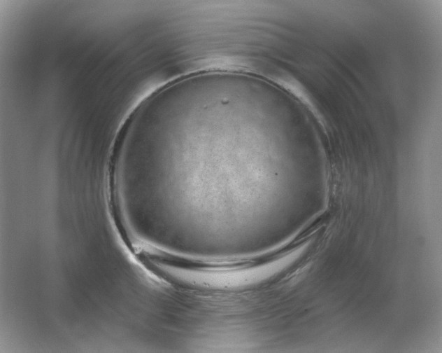 X0000064720999200602101119