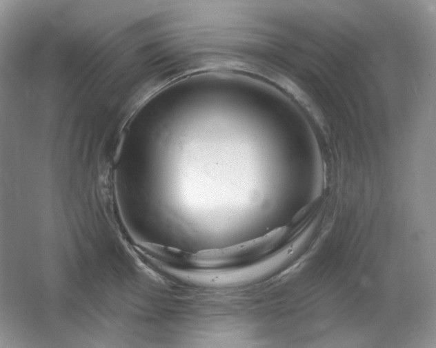 X0000064721001200602101119