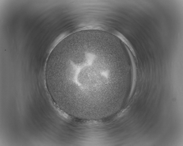 X0000064721002200602101119