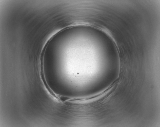 X0000064721003200602101119