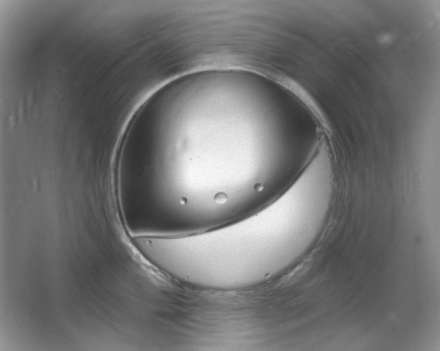 X0000064721004200602101119