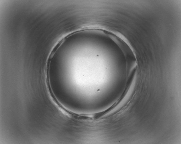 X0000064721005200602101119