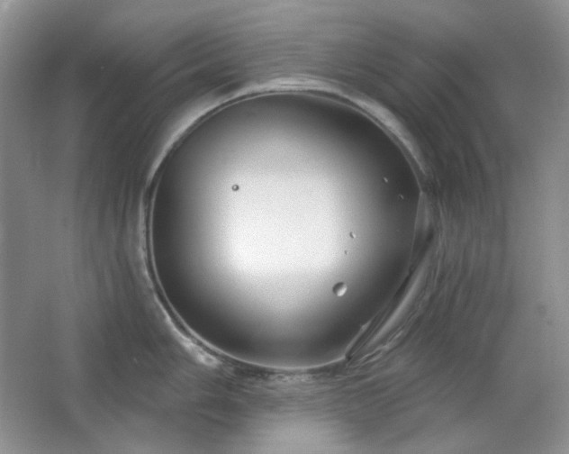 X0000064721006200602101119