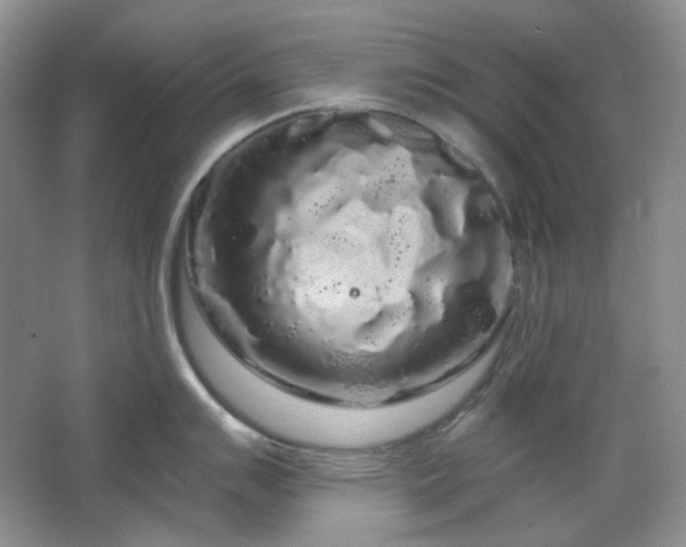 X0000064721007200602101119