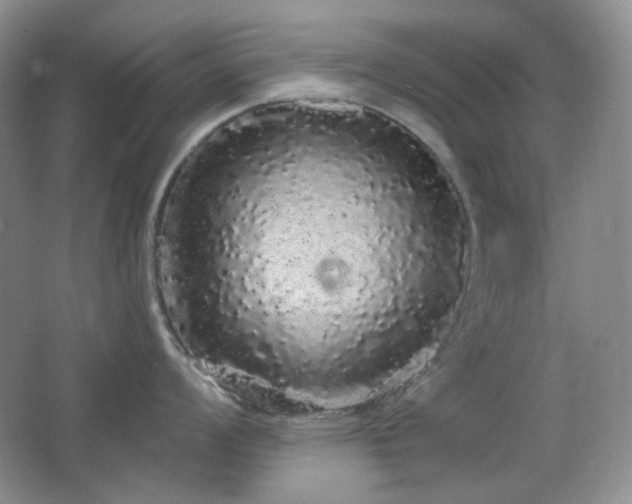 X0000064721008200602101119