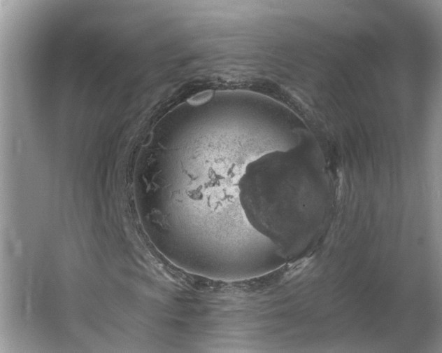 X0000064721009200602101118