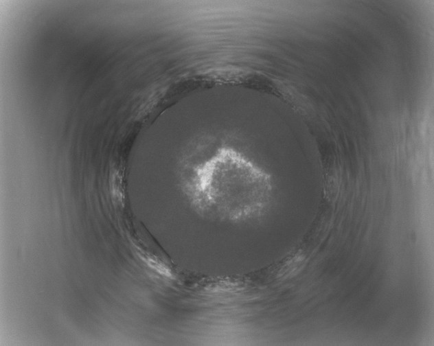 X0000064721010200602101118