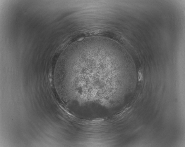 X0000064721011200602101118