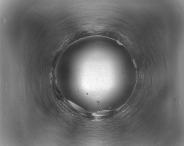 X0000064721012200602101118