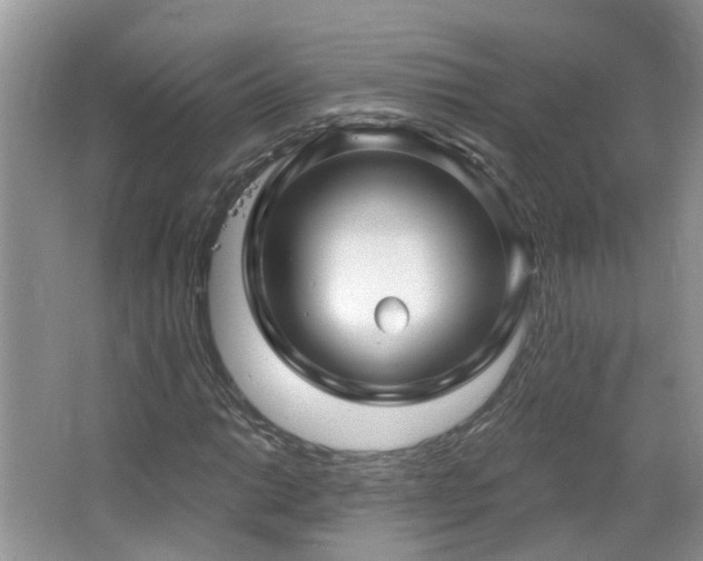 X0000064721014200602101118