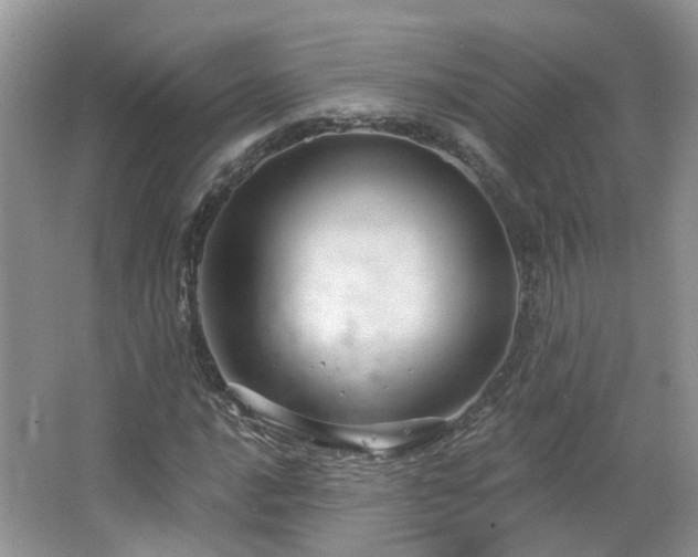 X0000064721016200602101118