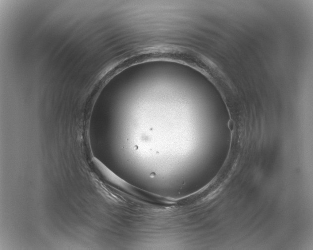 X0000064721017200602101118