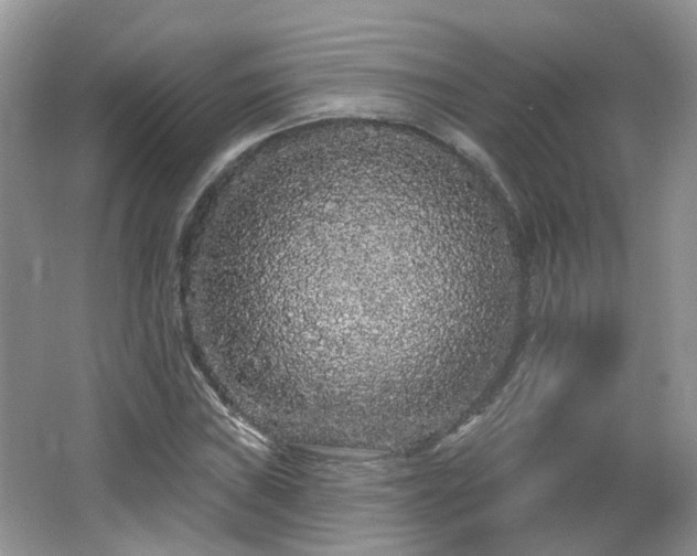 X0000064721019200602101118