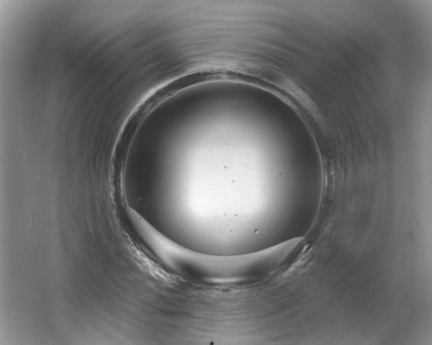 X0000064721020200602101118