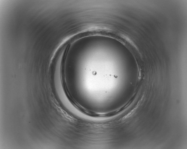 X0000064721021200602101118