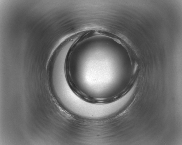 X0000064721022200602101118