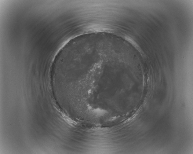 X0000064721023200602101118