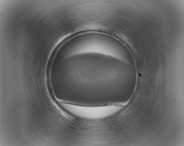 X0000064721024200602101118