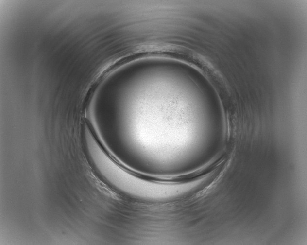 X0000064721025200602101118