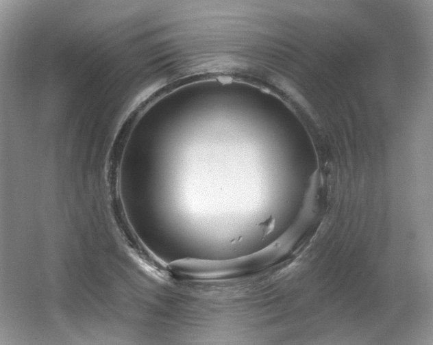 X0000064721026200602101118