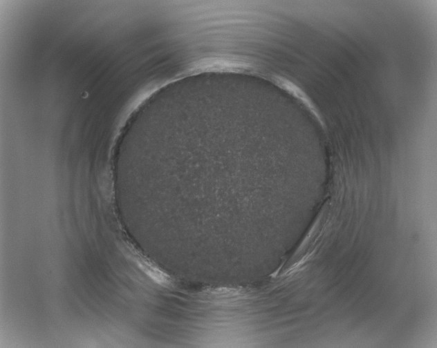 X0000064721027200602101118