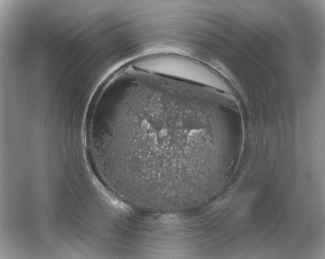 X0000064721028200602101118