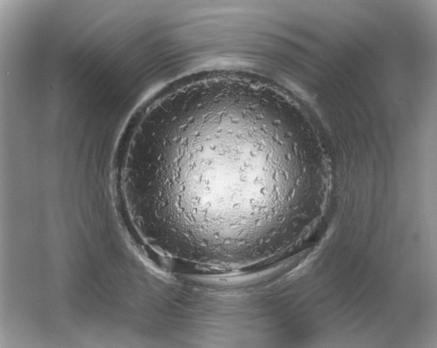 X0000064721029200602101118