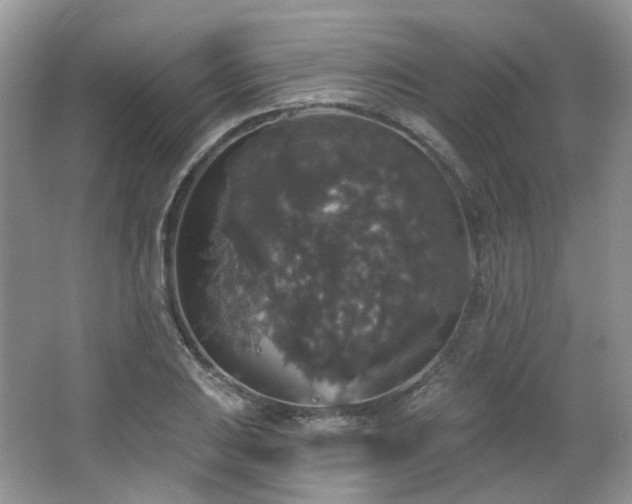 X0000064721031200602101118