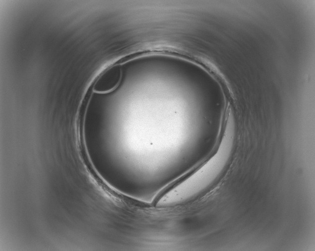 X0000064721032200602101118