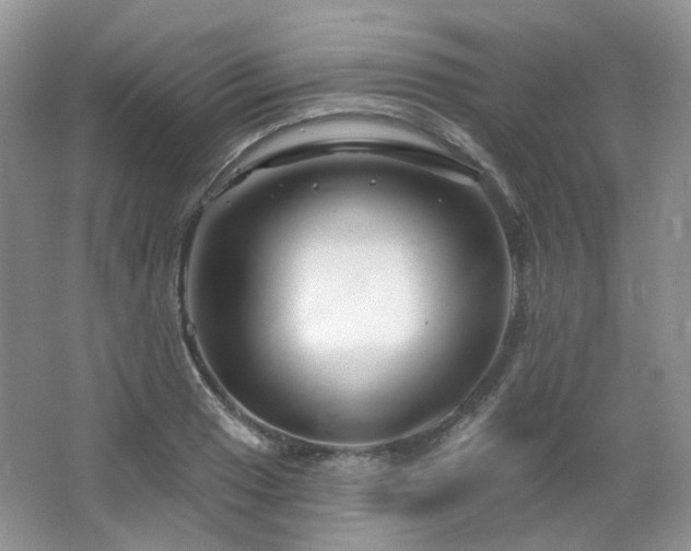 X0000064721033200602101118